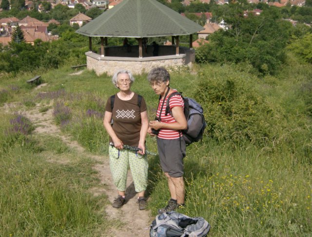 photo6.jpg