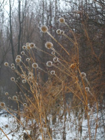 photo11.jpg