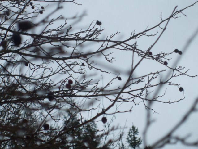 photo14.jpg
