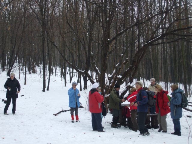photo16.jpg
