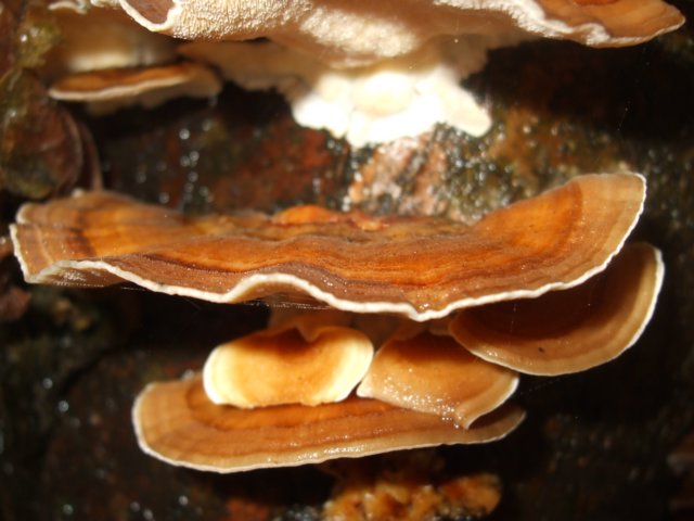 photo18.jpg