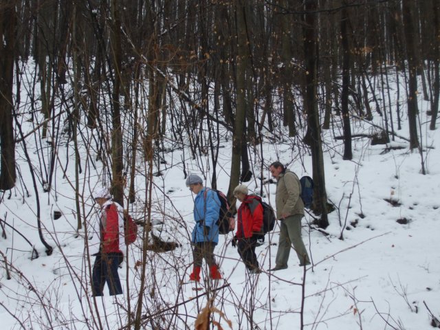 photo21.jpg