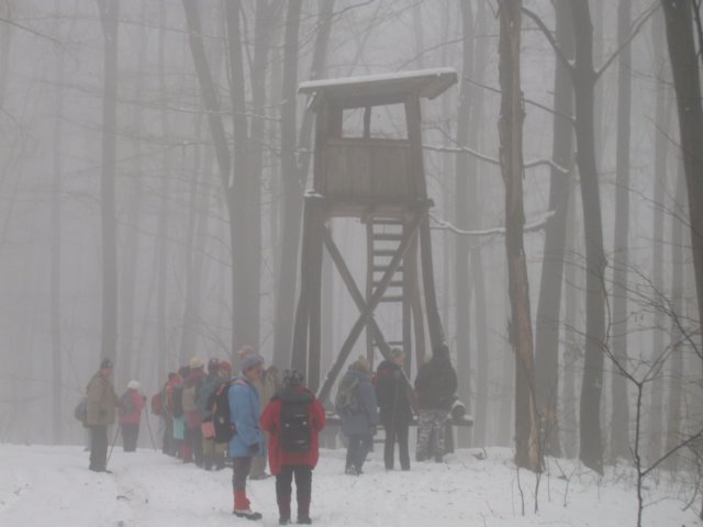 photo26.jpg