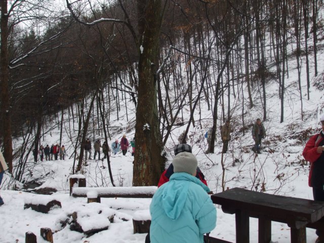photo4.jpg