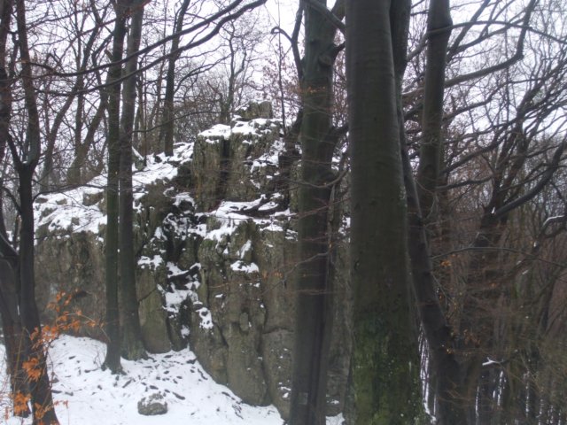 photo7.jpg