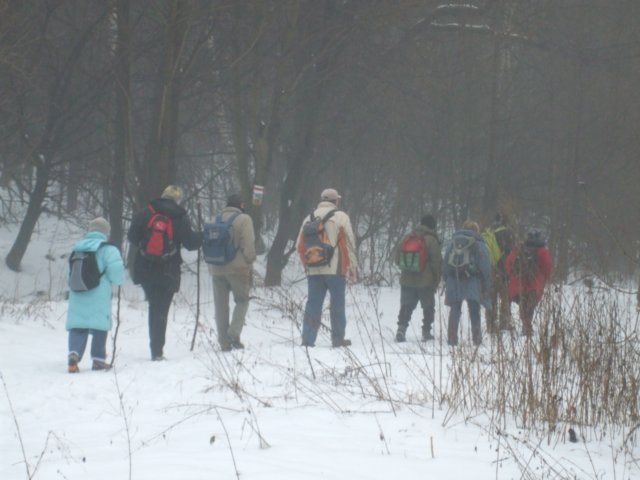 photo9.jpg