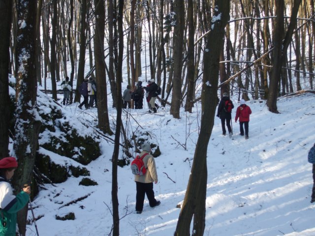 photo1.jpg