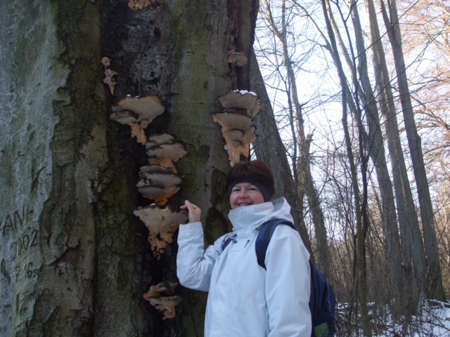 photo17.jpg