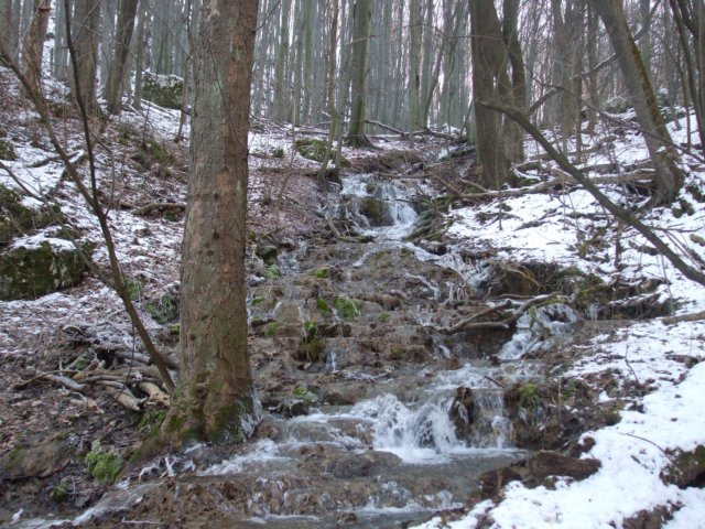 photo18.jpg