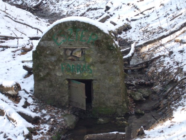 photo7.jpg