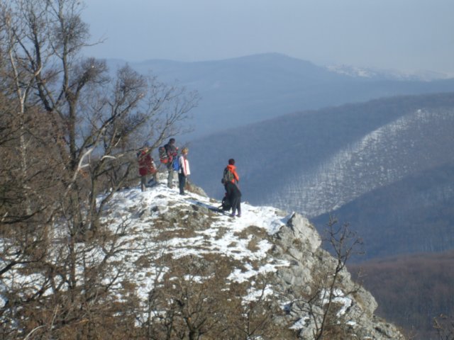 photo10.jpg