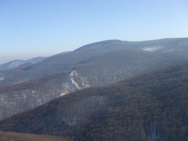 photo11.jpg