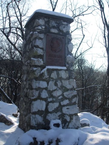 photo20.jpg