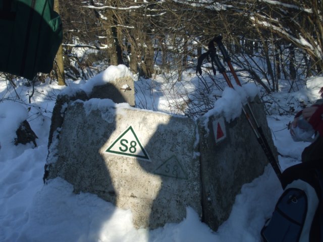 photo21.jpg