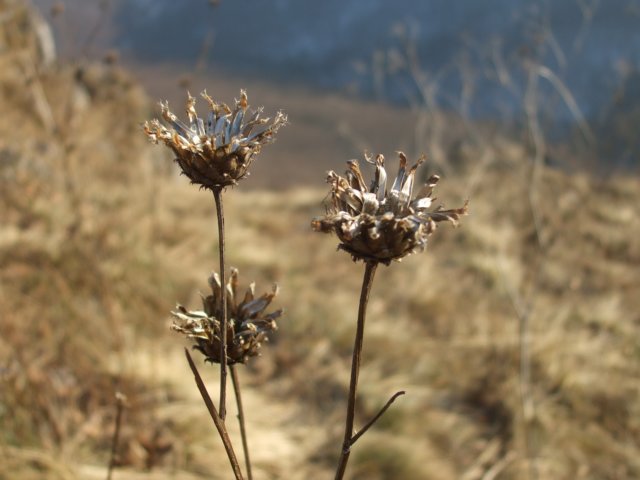photo26.jpg