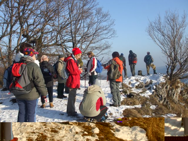 photo27.jpg