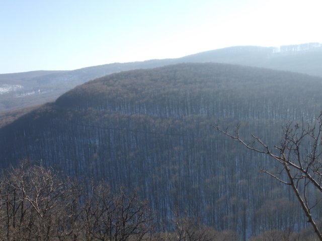 photo9.jpg