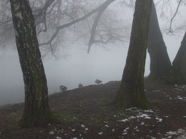 photo1.jpg