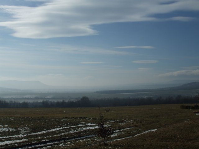 photo13.jpg