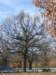 photo15_small.jpg