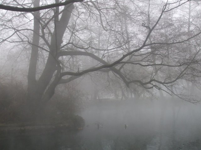 photo2.jpg