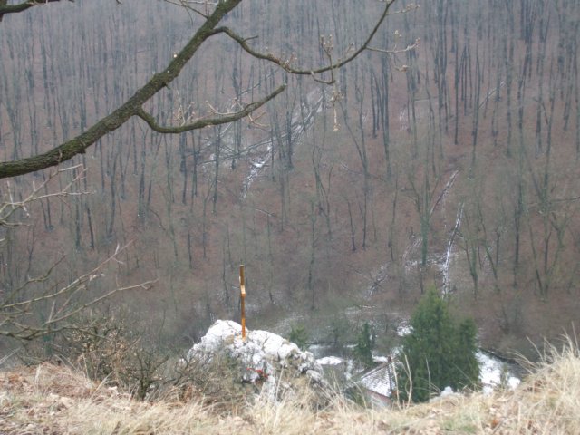 photo16.jpg