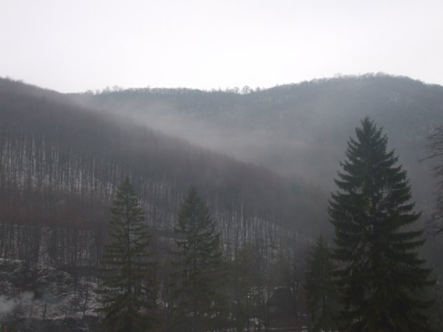 photo2.jpg