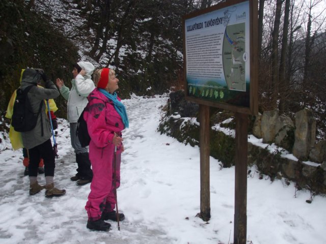 photo4.jpg