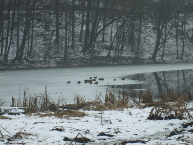 photo7.jpg