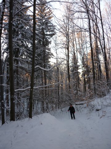 photo1.jpg