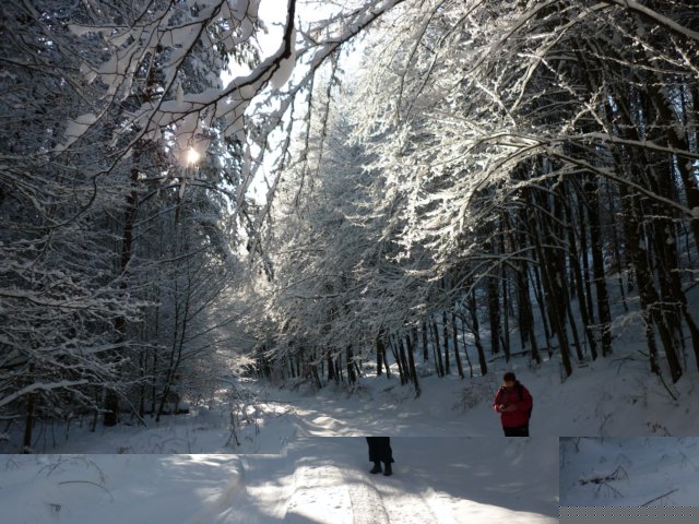 photo11.jpg