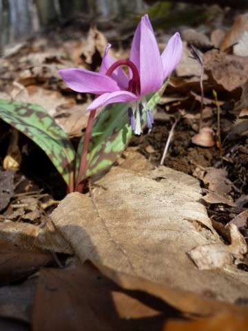 photo110.jpg
