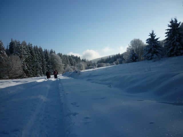 photo12.jpg