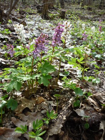 photo124.jpg