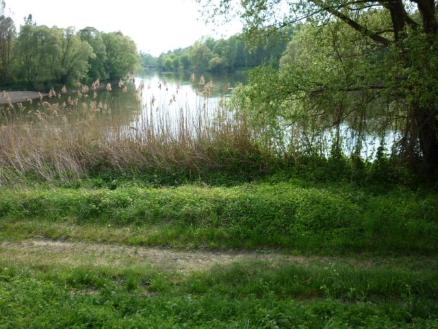 photo165.jpg