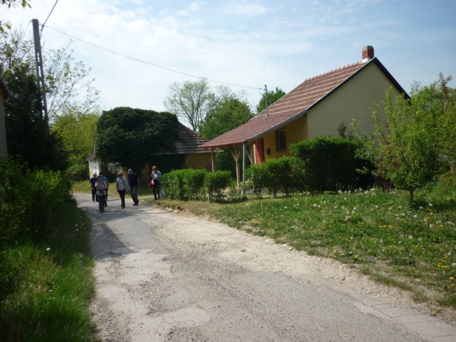 photo169.jpg