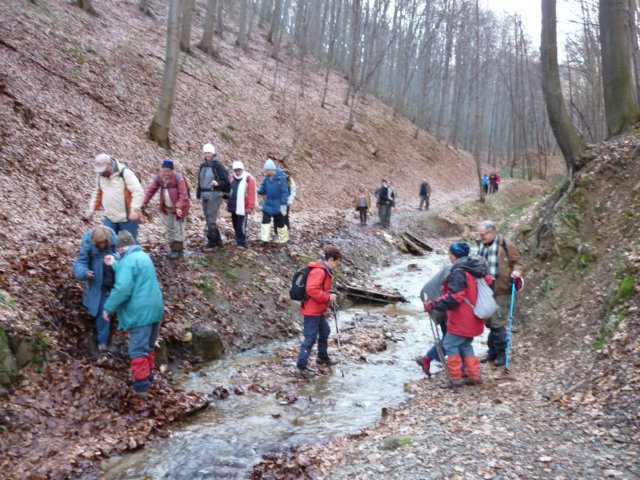 photo17.jpg