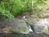 photo182_small.jpg