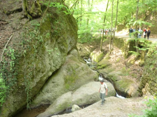 photo184.jpg