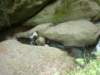 photo185_small.jpg