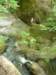 photo186_small.jpg