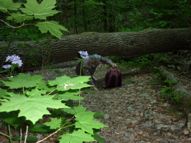 photo192.jpg