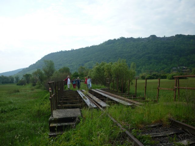 photo197.jpg