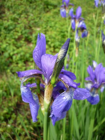 photo198.jpg
