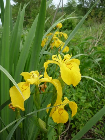 photo209.jpg
