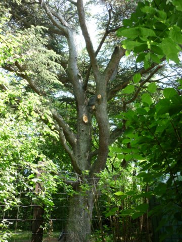 photo214.jpg
