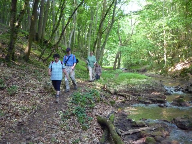 photo220.jpg
