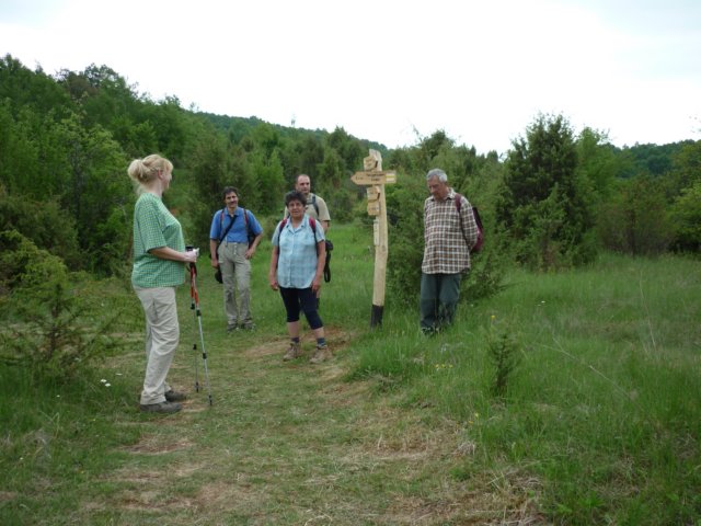 photo225.jpg