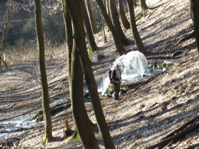 photo24.jpg