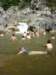 photo339_small.jpg